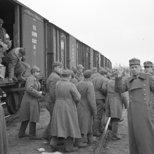 9725.jpg