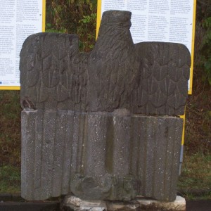 Armin_Fried_Extern_Vogel 091.JPG