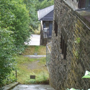 Armin_Fried_Extern_Vogel 088.JPG