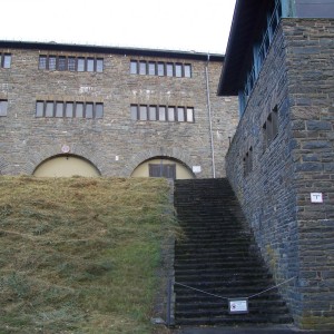 Armin_Fried_Extern_Vogel 075.JPG