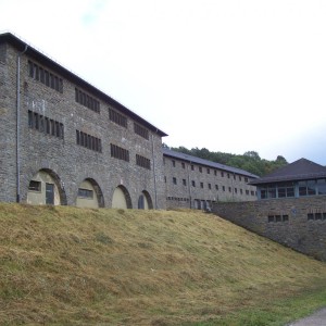 Armin_Fried_Extern_Vogel 068.JPG