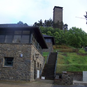 Armin_Fried_Extern_Vogel 054.JPG