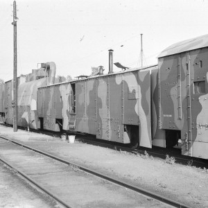 31244.jpg