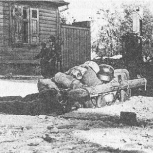 154.jpg