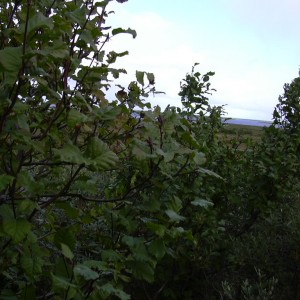 DSCN0194.JPG