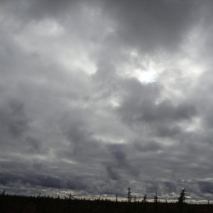 DSC01032.JPG