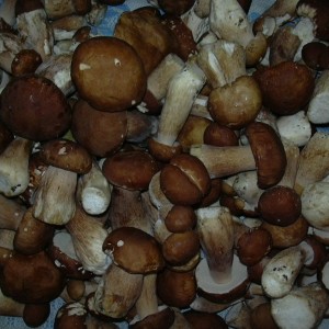 DSCN0156.JPG