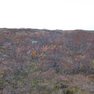 DSCN0263.JPG