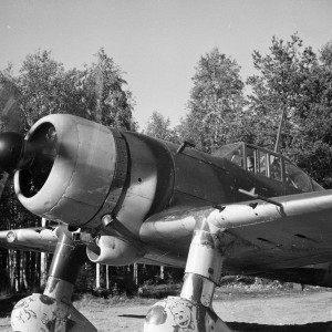 43376.jpg