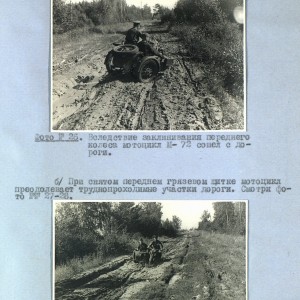 13556.jpg