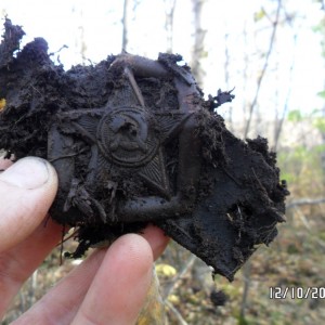 Pikasilla 9.JPG