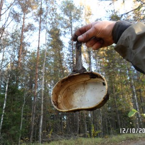 Pikasilla 10.JPG