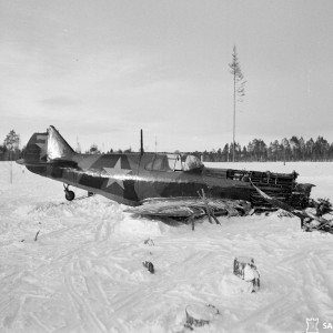 75636.jpg