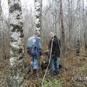 Pikasilla platstarm.JPG
