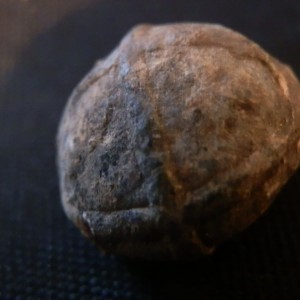 PB030013.JPG