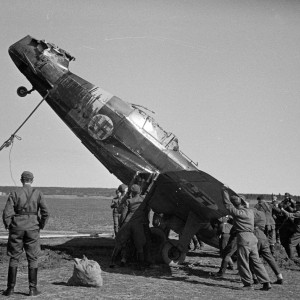 87741.jpg