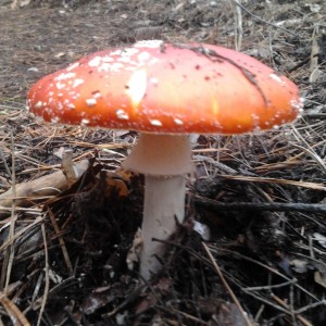 2013-11-16 11.42.11.jpg