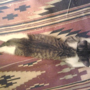 2013-11-25 20.48.22.jpg
