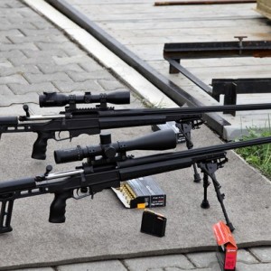 Orsis T5000 в 338 LM.jpg