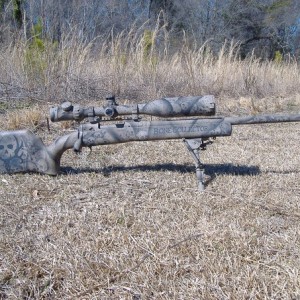 Savage 10FP.jpg
