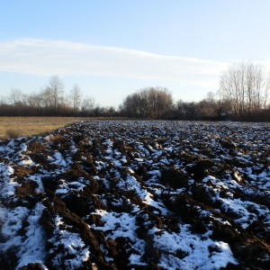 PC070032.JPG