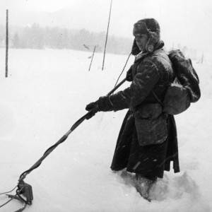 saper1наразминзима4142osc4.th.jpeg