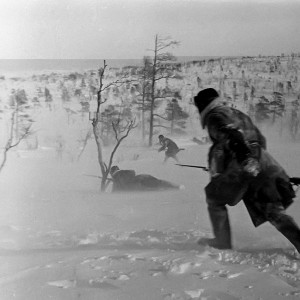 z_8981c80e.jpg