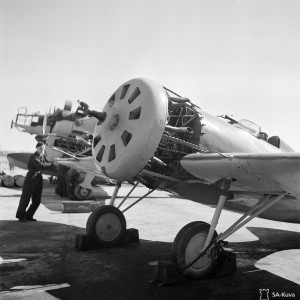 92569.jpg