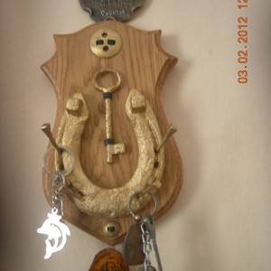 DSCN6913.JPG