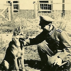 comrades_by_88whitewolf88-d5la5cj.jpg