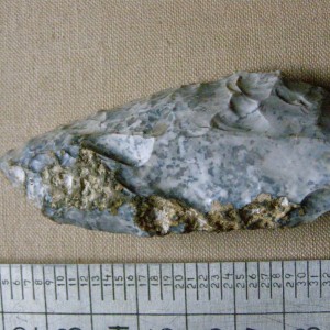 PC312569.JPG