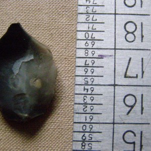 PC312582.JPG