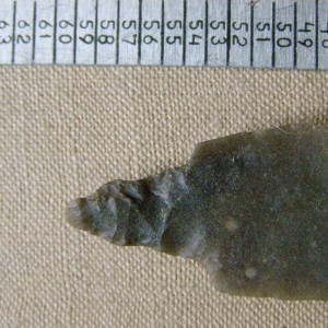 PC312587.JPG