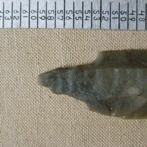 PC312588.JPG