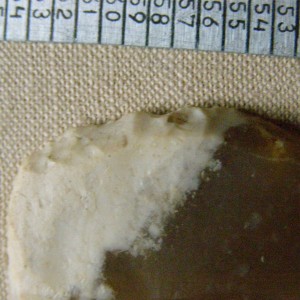PC312586.JPG