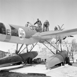92572.jpg