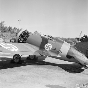 92570.jpg