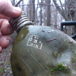 metsas 4.jpg