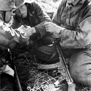 stg44.jpg