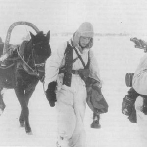 totenkopf.jpg