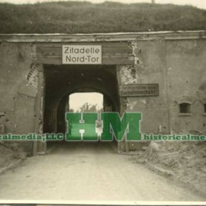 KAMPFINBRE_6970052_10056293.jpg