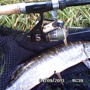 DSC_0000017.jpg