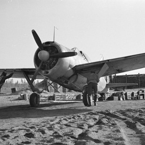 97307.jpg
