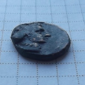DSCF1545.jpg