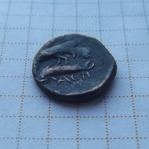 DSCF1546.jpg