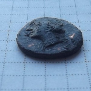 DSCF1548.jpg