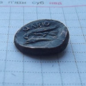 DSCF1550.jpg