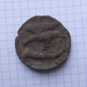 DSCF1271.jpg