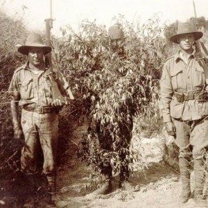 1916 .jpg