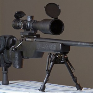 SIG SSG 3000.jpg